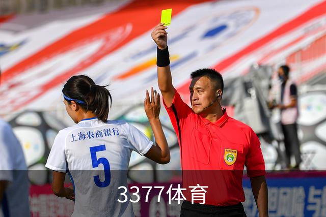 3377体育公司简介